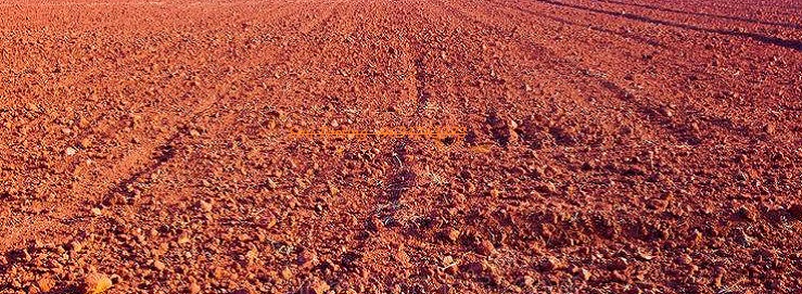 Soil Testing & Analysis